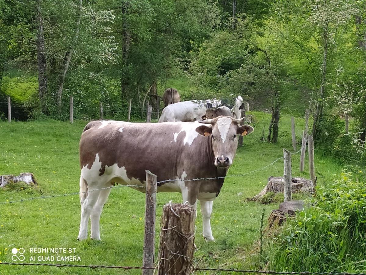 La Chaussee D'Olivet En Mayenne Exteriör bild