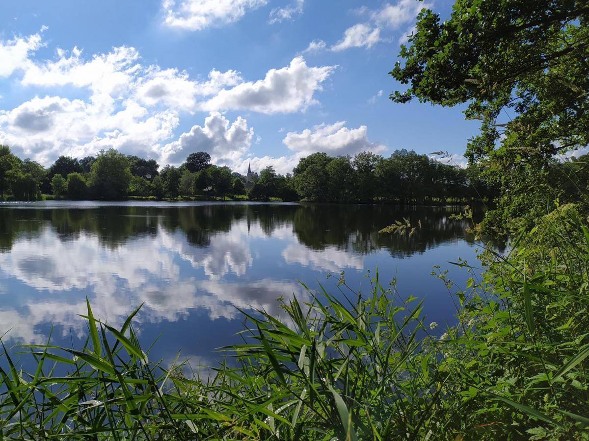 La Chaussee D'Olivet En Mayenne Exteriör bild